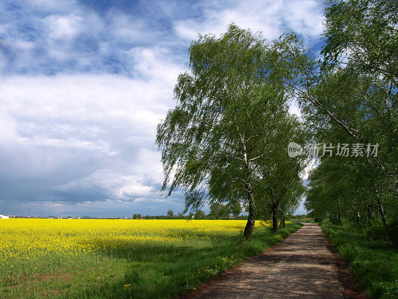 农村的风景