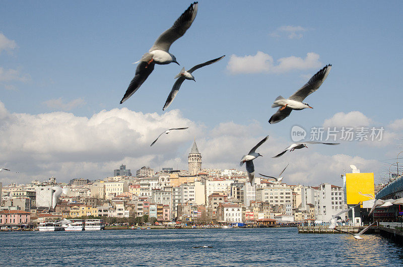 加拉塔-伊斯坦布尔城市景观