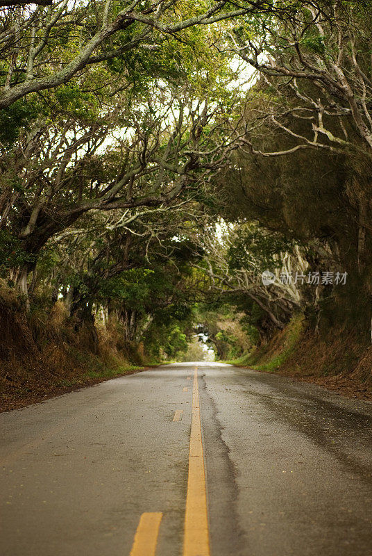 乡间小路