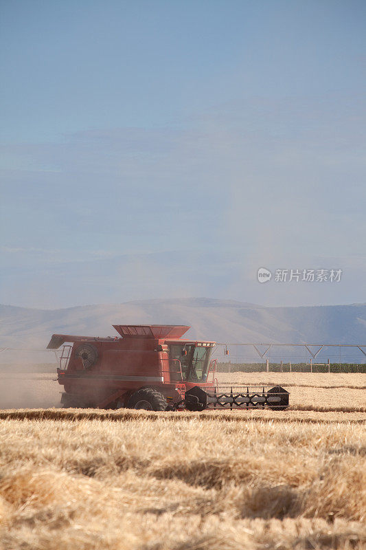 联合收割机在爱达荷收割小麦谷物