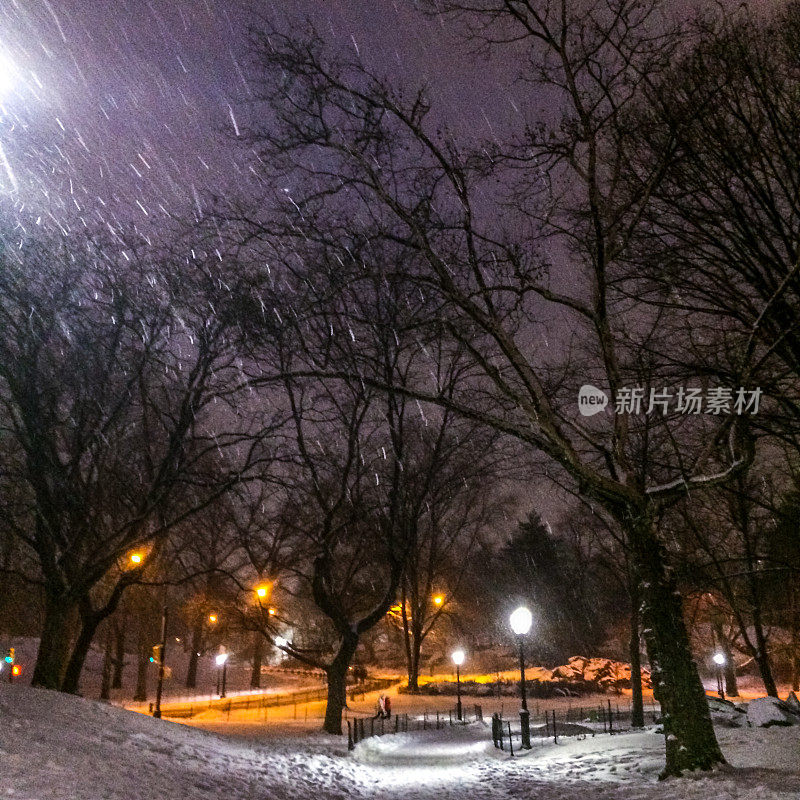 纽约中央公园降雪