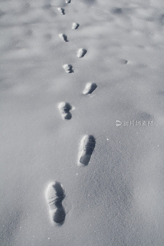 雪地上有很多脚印。