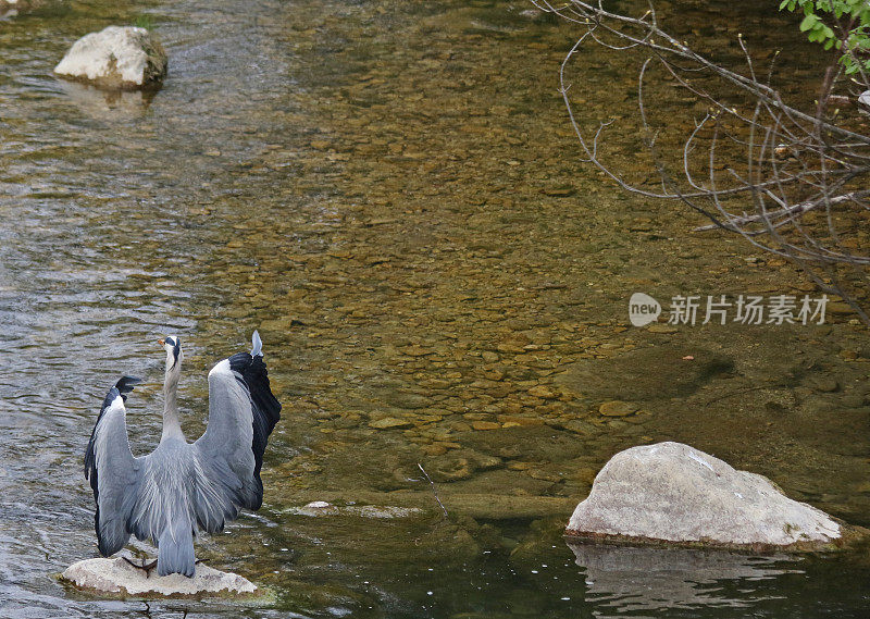 准备着陆