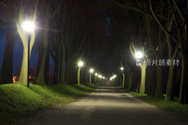 夜晚灯火通明的乡间小路