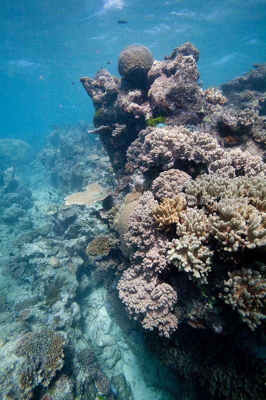 大堡礁景观