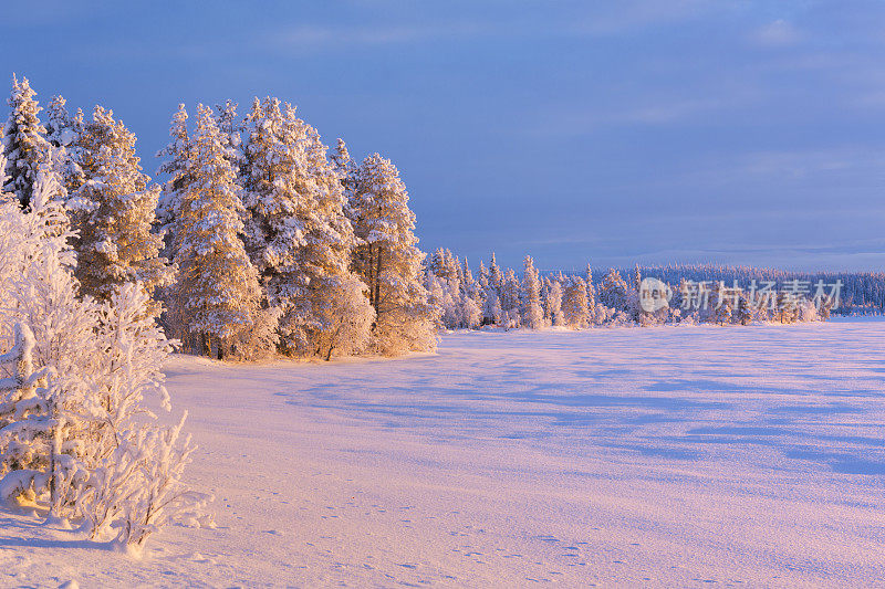 冰冻的湖Äijäjärvi在芬兰拉普兰的冬天日落