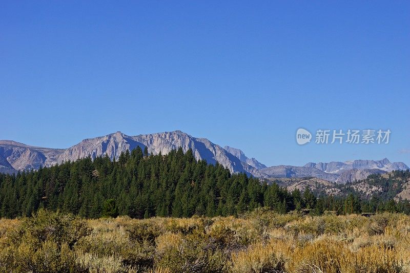 阴阳NF崎岖的