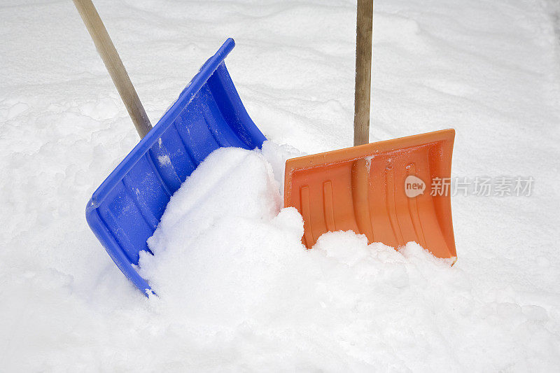 雪中的颜色