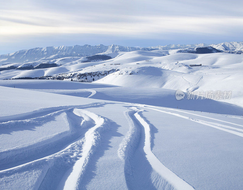 新雪上的滑雪痕迹