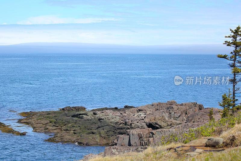 加拿大新斯科舍省普里姆角的风景