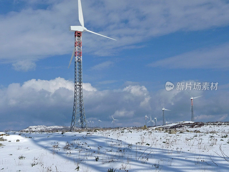 风力发电场在雪地里