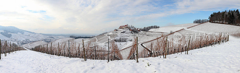 在冬天的雪山和葡萄园黑森林全景