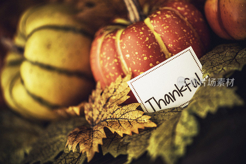 秋天的感恩节安排与感恩的信息