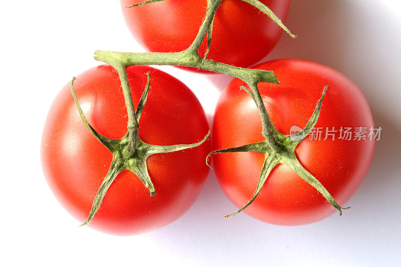 Tomatos网络