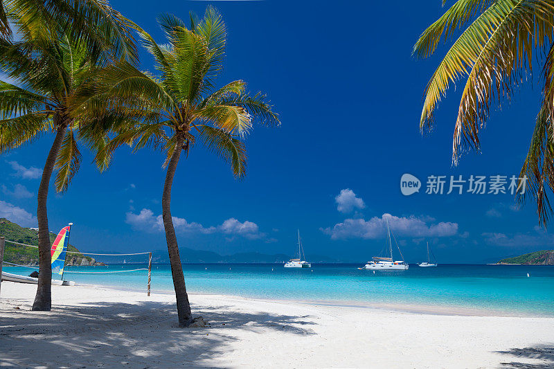 美丽的热带海滩上的棕榈树