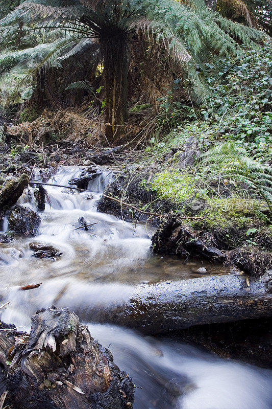 高山流水