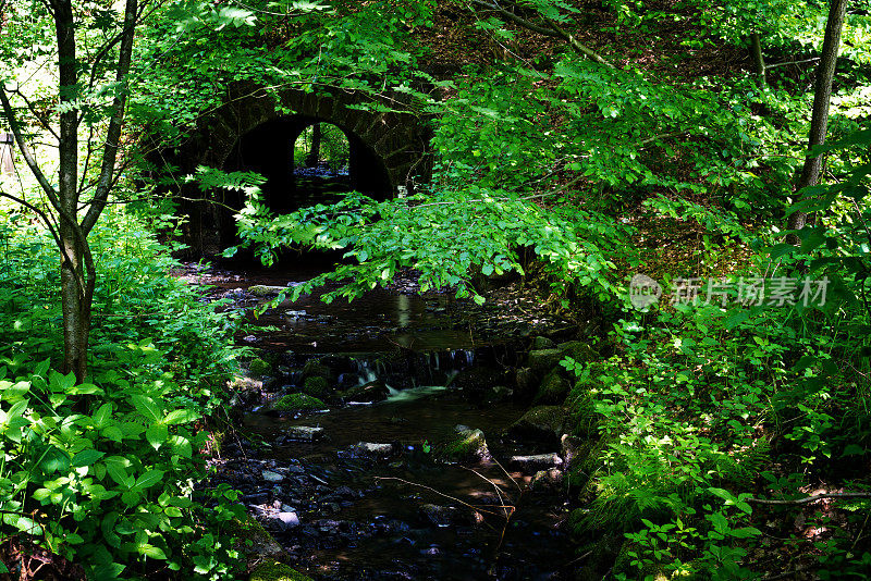 森林中的小溪和历史悠久的输水管道隧道