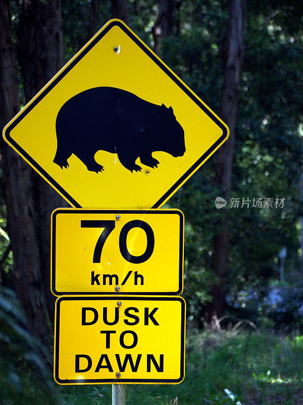 澳大利亚公路上的袋熊警告标志