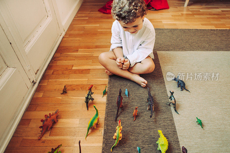 男孩在玩玩具恐龙