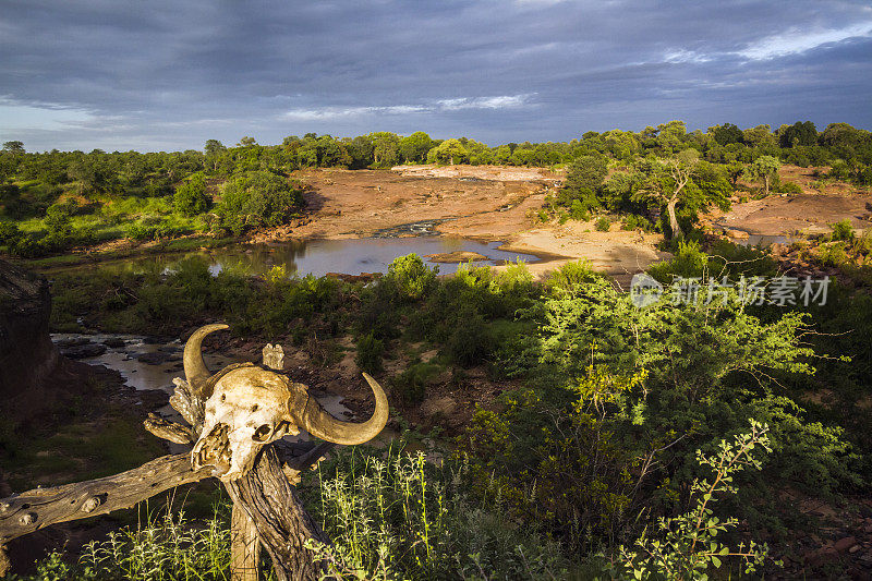 南非克鲁格国家公园的红色岩石全景