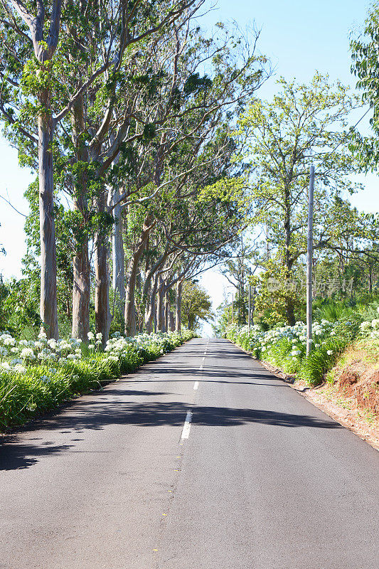 穿过马德拉岛的道路