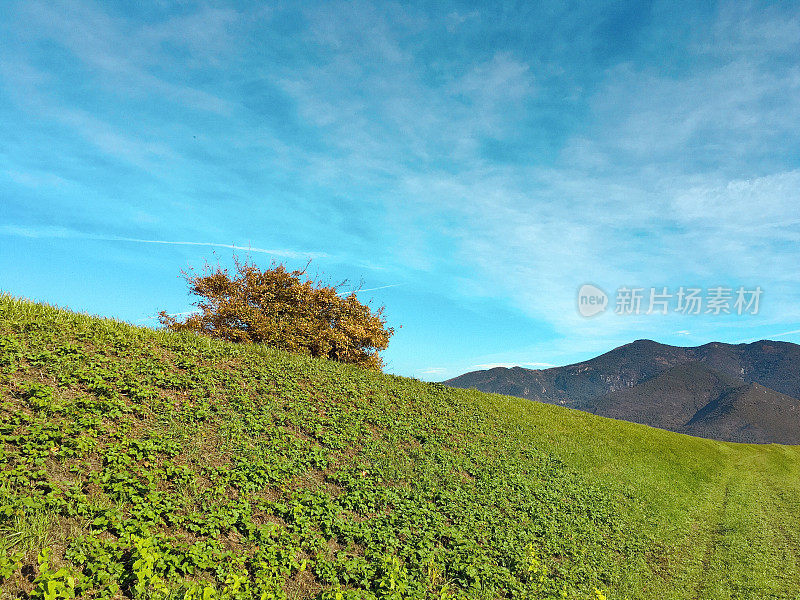 复制空间与山，天空，山和一棵树