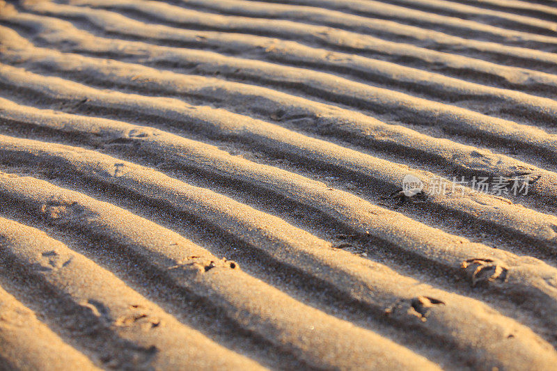 海边的一粒沙子