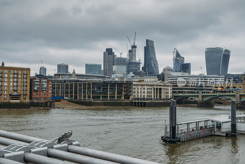 伦敦金融区天际线广场英里，英国，英国-选择性集中前景鸽。