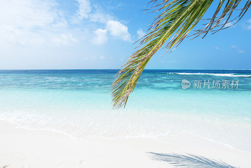 夏日热带海滩背景