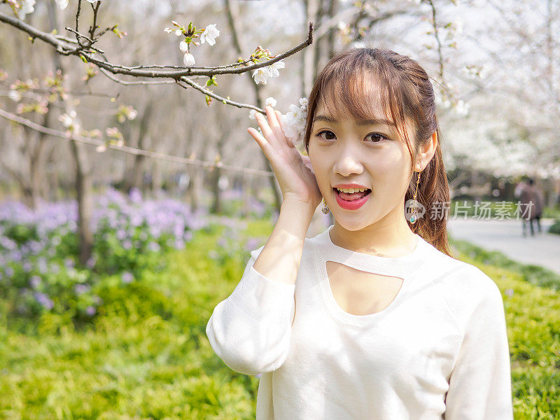 户外肖像美丽的年轻中国女孩微笑在盛开的樱花树早午餐在春天的花园，美丽，夏天，情感，表达和人们的概念。
