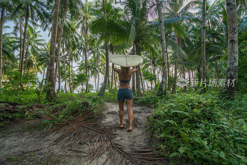 在菲律宾群岛的棕榈树下，手持长板的年轻女子冲浪女孩在海滩上走向大海。人们旅游度假运动概念。
