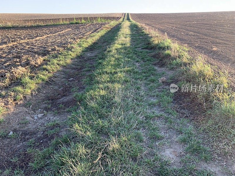 在田野中间的一条上升的草地小路