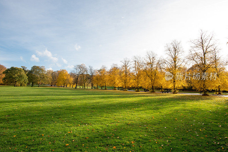 英国格林威治公园秋天的树木和大草坪全景