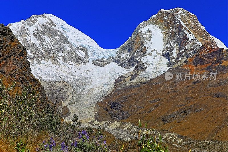 秘鲁安卡什的哈斯卡兰山脉和冰河上盛开着野花