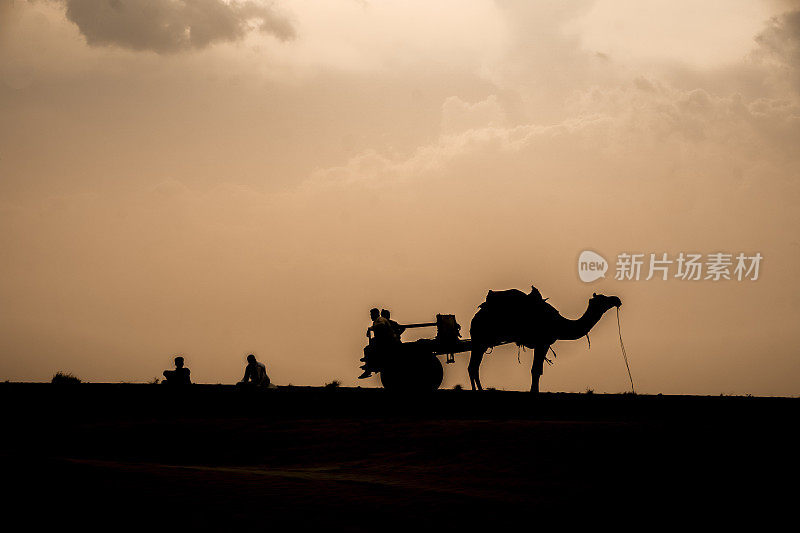 骆驼商队在印度拉贾斯坦邦的沙漠中休息