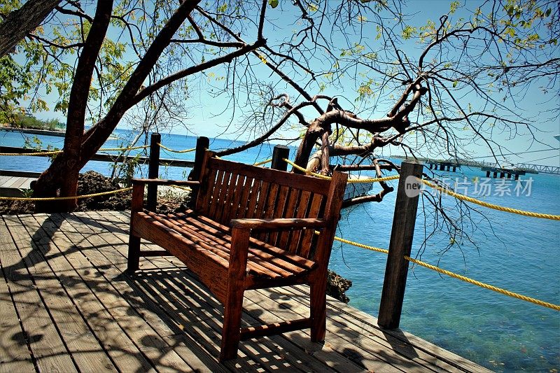 一个带有公园长椅的甲板，位于码头和加勒比海泻湖附近的热带雨林花园