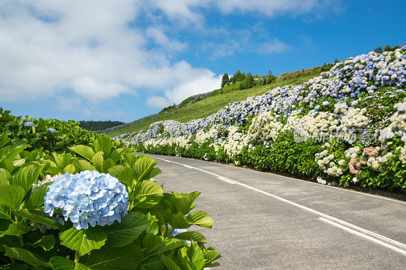 亚速尔群岛乡村公路