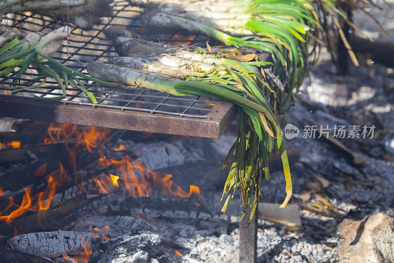 Calçots被烹饪-加泰罗尼亚的美食传统