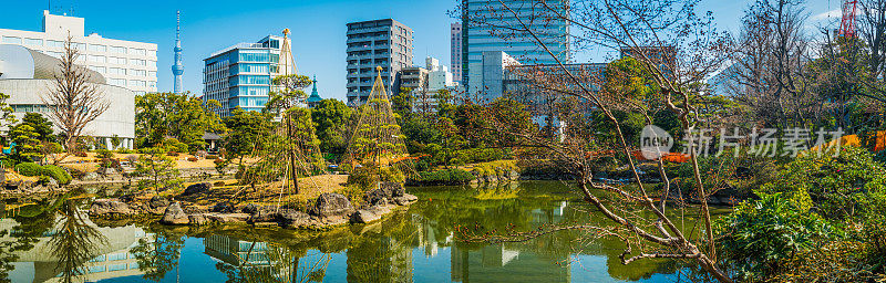 东京天空树俯瞰宁静的花园，倒影着摩天大楼，湖全景日本