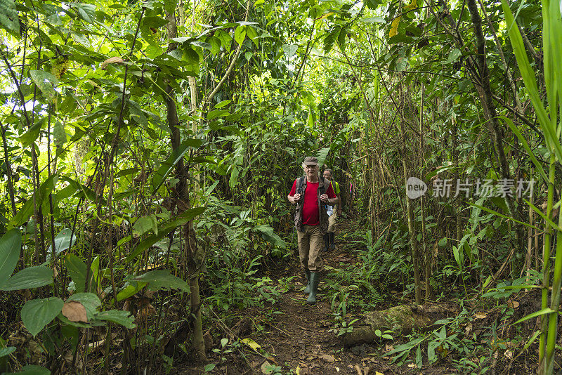 在雨林中徒步旅行的游客