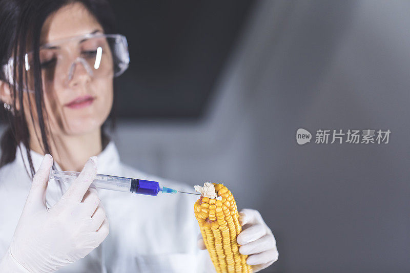 邪恶科学家向玉米注射有毒化学物质