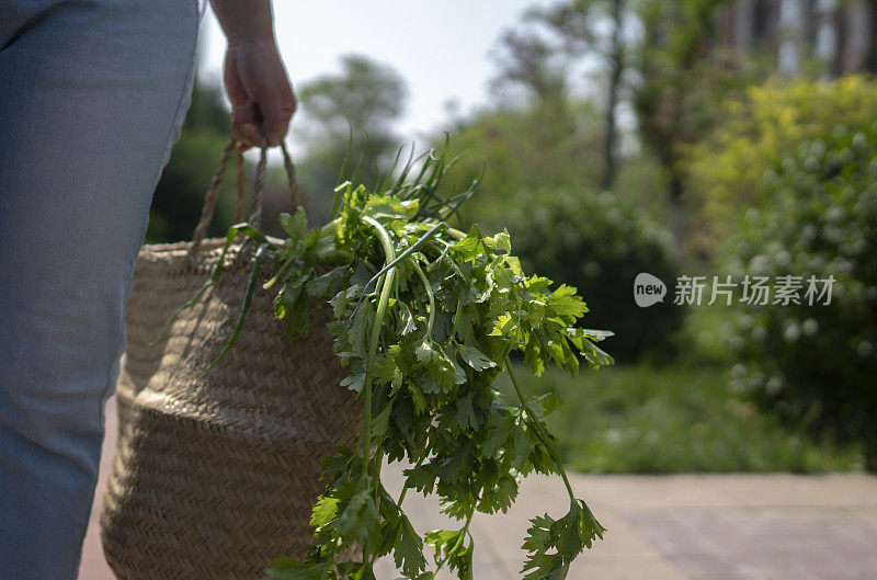 年轻女子提着菜篮子走路