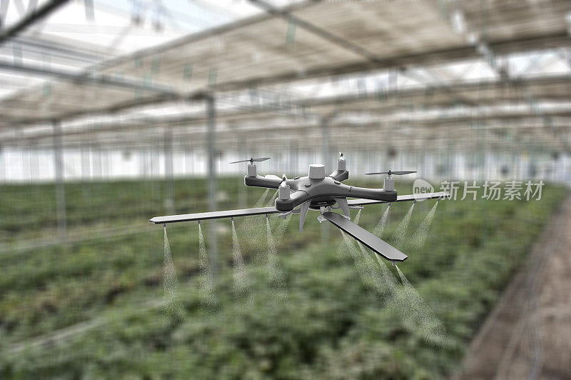 在温室里用无人机喷洒作物