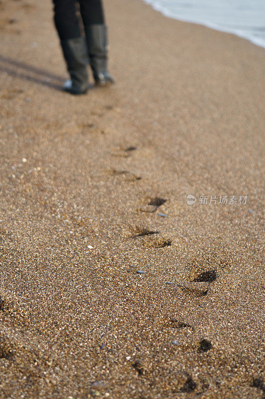 冬天海滩上的脚步声