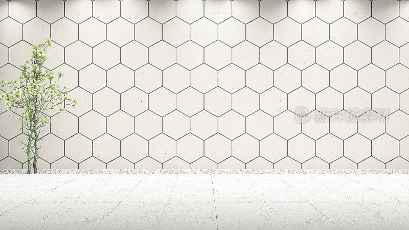 空白色几何六角形墙