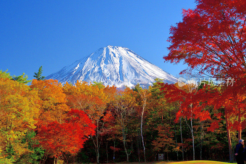 富士山和秋叶色，拍摄于富士五湖地区和富士宫市