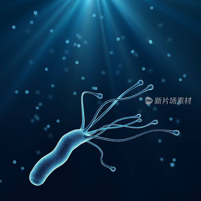 幽门螺杆菌，人体胃中的医学病原微生物