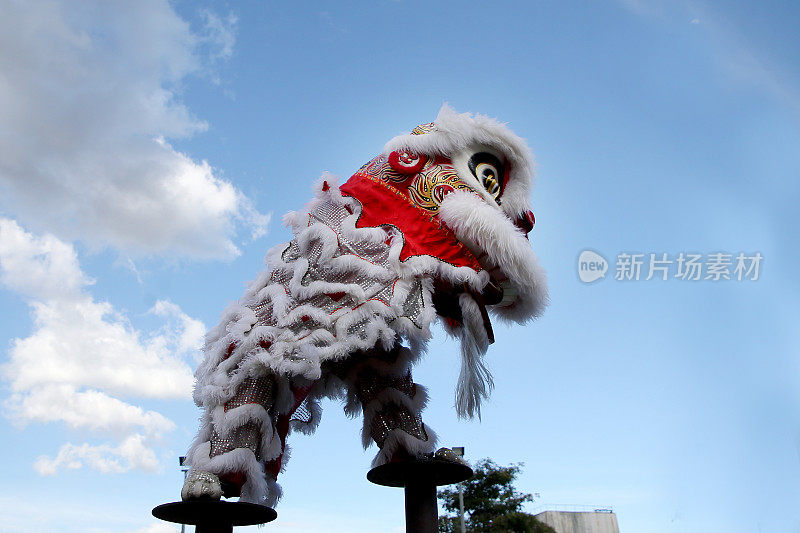 中国新年-舞狮