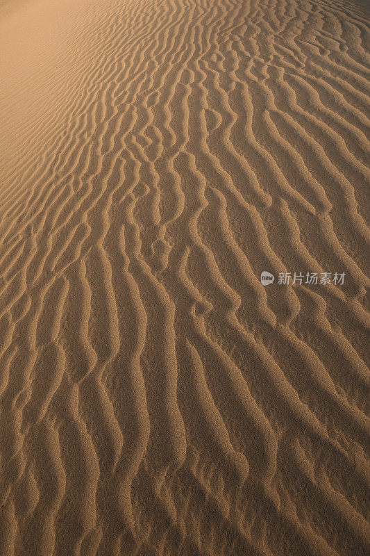 沙丘纹理模式背景死亡谷-波浪线，阳光，垂直