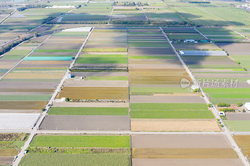 田野鸟瞰图